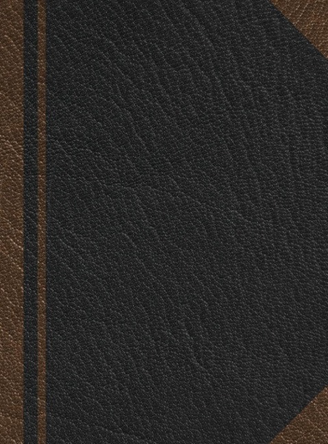 Notary Journal: Hardbound Public Record Book for Men Women, Logbook for Notarial Acts, 390 Entries, 8.5 x 11, Black Brown Blank Cover