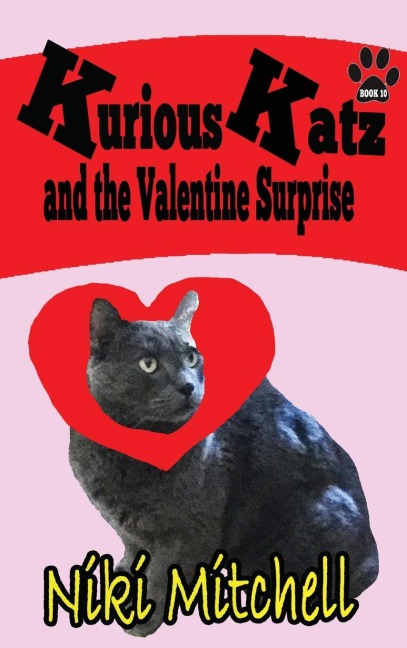 Kurious Katz and the Valentine Surprise: LARGE PRINT