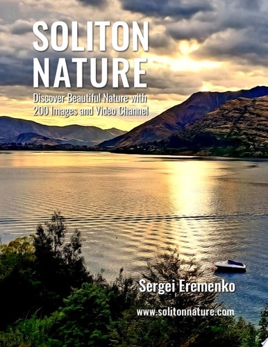 Soliton Nature