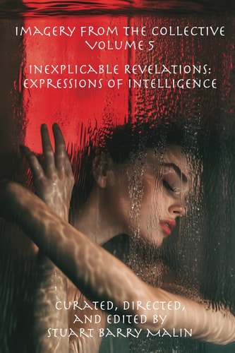 Imagery from the Collective - Volume 5 Inexplicable Revelations: Expressions of Intelligence