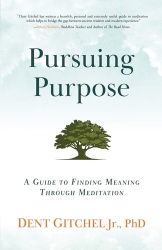 Pursuing Purpose A Guide To Finding Meaning Through Meditation