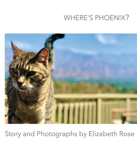Wheres Phoenix?