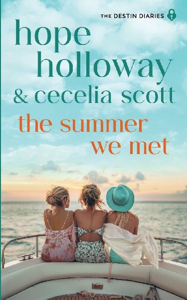 The Summer We Met