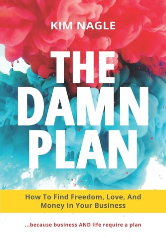 The DAMN Plan How to Find Freedom, Love, and Money in Your Business