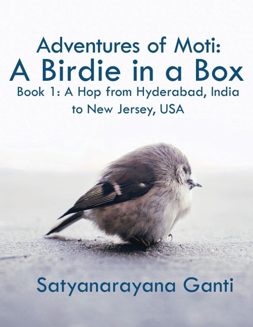 Adventures of Moti: A Birdie in a Box: Book 1: A Hop from Hyderabad, India to New Jersey, USA