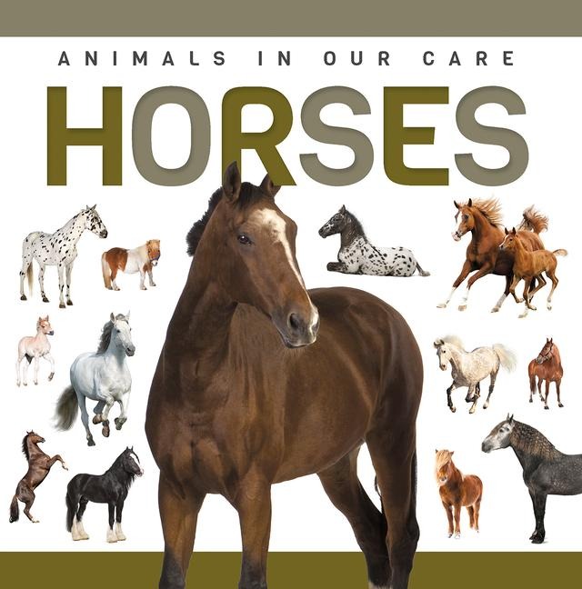 Horses