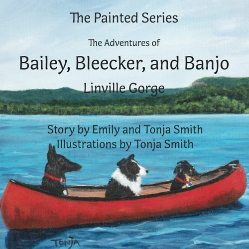 The Adventures of Bailey, Bleecker, and Banjo Linville Gorge