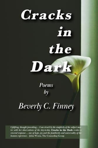 Cracks in the Dark Poems
