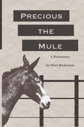 Precious the Mule