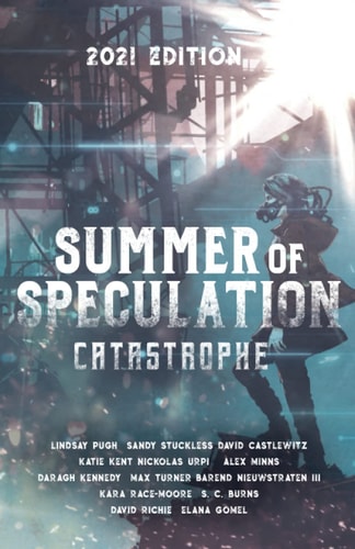 Summer of Speculation Catastrophe 2021