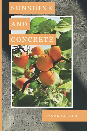 Sunshine and Concrete