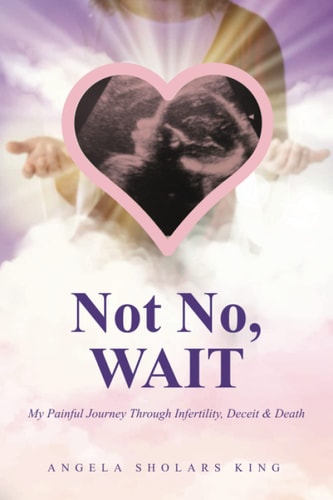 Not No, WAIT My Painful Journey Through Infertility, Deceit & Death