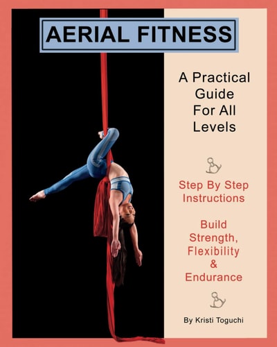 Aerial Fitness A Practical Guide For All Levels