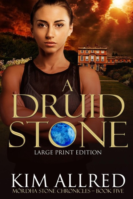 A Druid Stone Large Print: Time Travel Adventure Romance