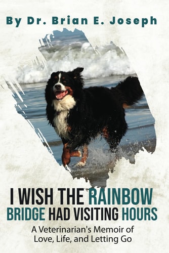 I Wish the Rainbow Bridge Had Visiting Hours A Veterinarian's Memoir of Love, Life, and Letting Go