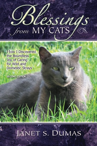 Blessings from My Cats