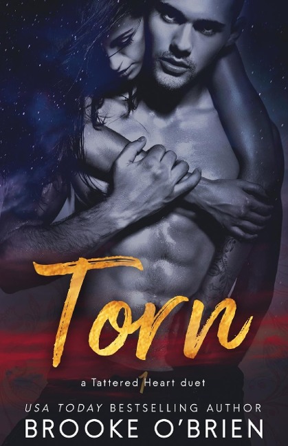 Torn: A Brothers Best Friend Romance