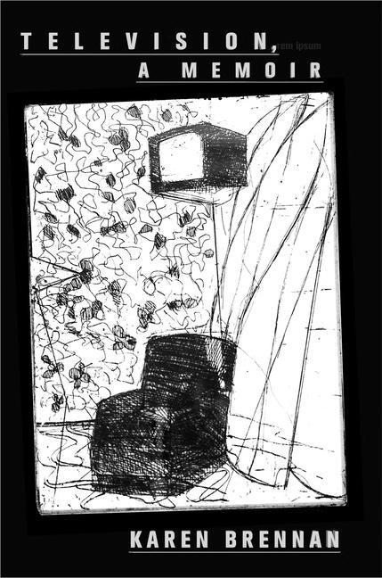 Television, a Memoir