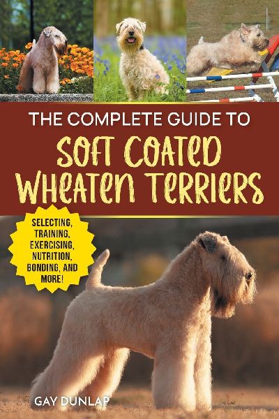 The Complete Guide to Soft Coated Wheaten Terriers: Preparing for, Raising, Training, Feeding, Socializing, and Loving Your New Wheaten Terrier