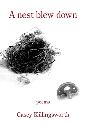 A Nest Blew Down