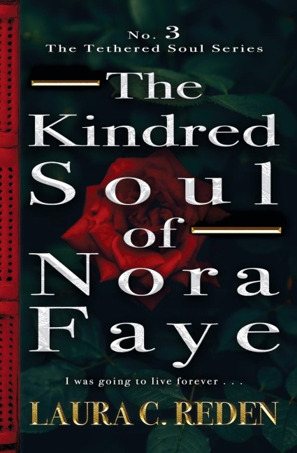 The Kindred Soul of Nora Faye: The Tethered Soul Series