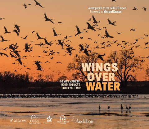 Wings Over Water: The Vital Magic of North Americas Prairie Wetlands