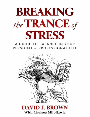 Breaking the Trance of Stress A Guide to Balance In Your Personal and Professional Life