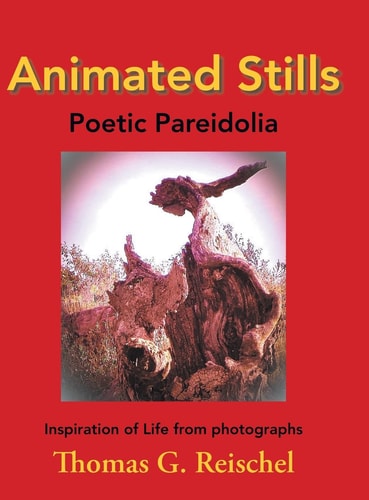 Animated Stills Poetic Pareidolia