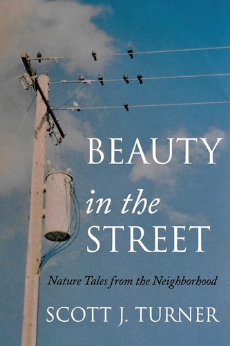 Beauty in the Street Nature Tales from the Neighborhood
