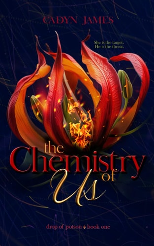The Chemistry of Us A Dark Romantic Thriller