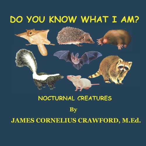 Do You Know What I Am? Nocturnal- Creatures of the Night