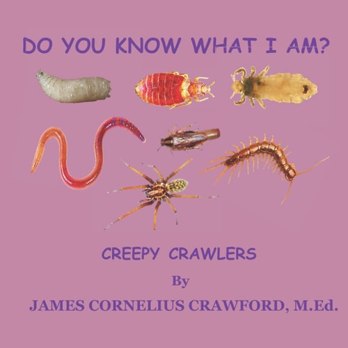 Do You Know What I Am? Creepy Crawlers