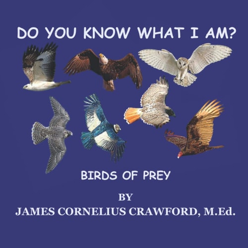 Do You Know What I Am? Birds of Prey