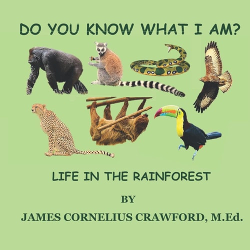 Do You Know What I Am? Life in the Rainforest