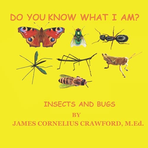 Do You Know What I Am? Insects and Bugs