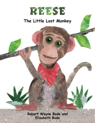 Reese The Little Lost Monkey