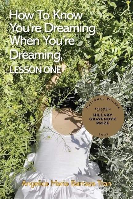 How to Know Youre Dreaming When Youre Dreaming, lesson one