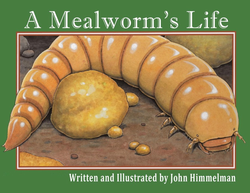 A Mealworms Life