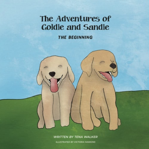 The Adventures of Goldie and Sandie The Beginning