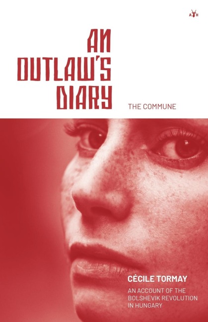 An Outlaws Diary