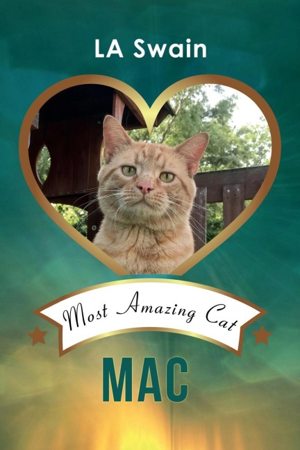 MAC: Most Amazing Cat