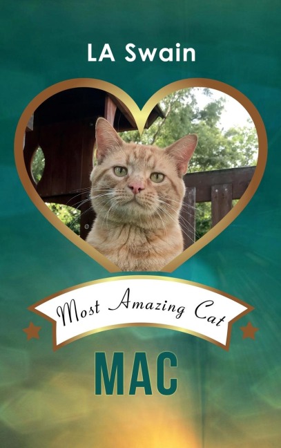 MAC: Most Amazing Cat