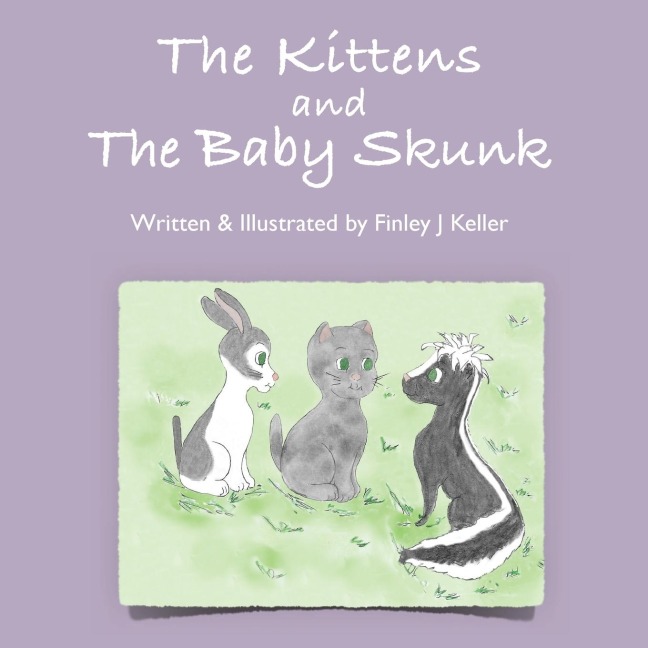 The Kittens and The Baby Skunk