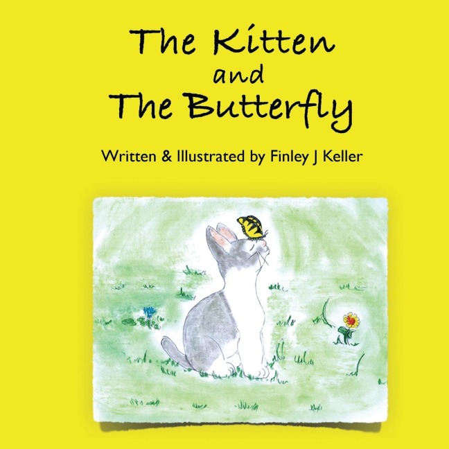 The Kitten and The Butterfly