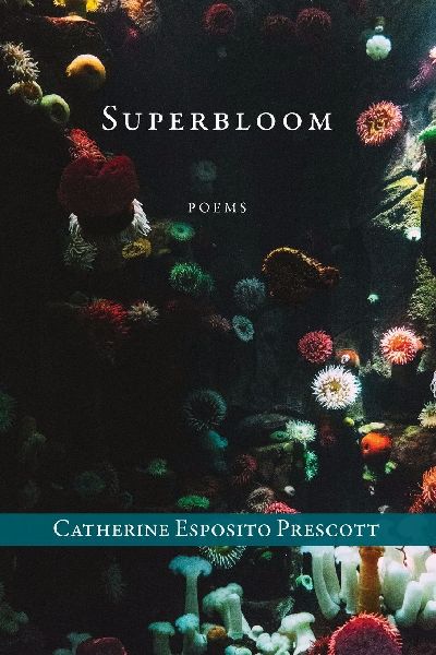 Superbloom