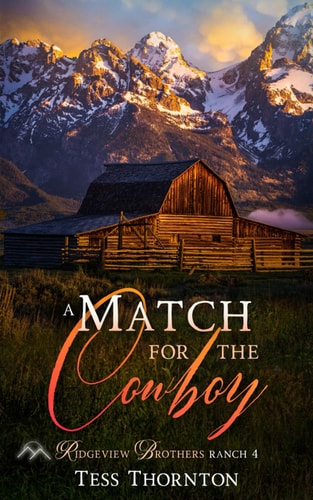 A Match for the Cowboy Ridgeview Brothers Ranch Book 4