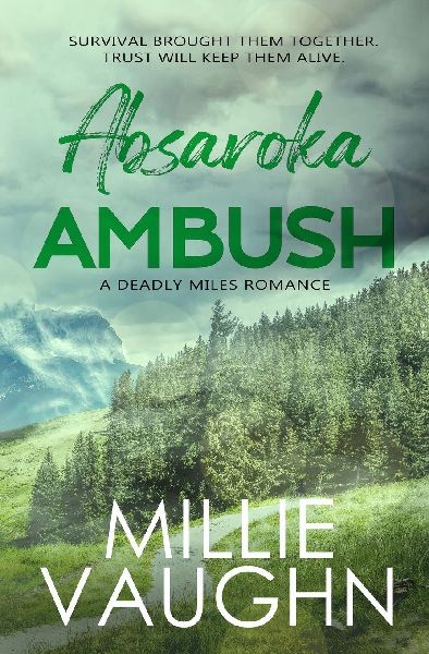 Absaroka Ambush: A Small-Town Romantic Suspense