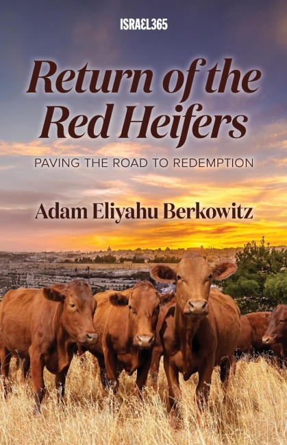 Return of the Red Heifers