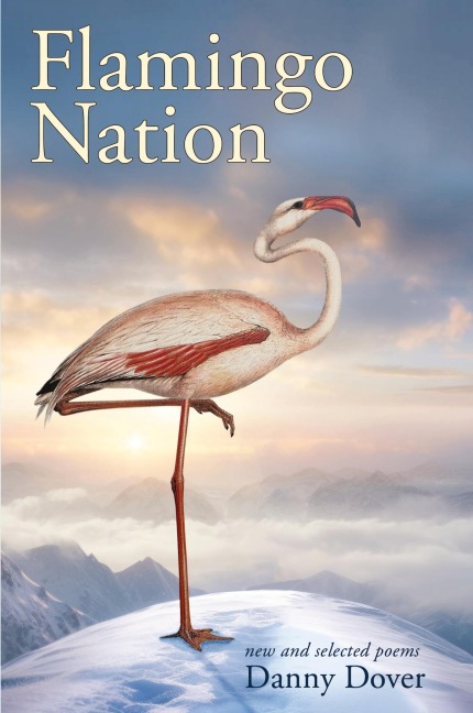 Flamingo Nation