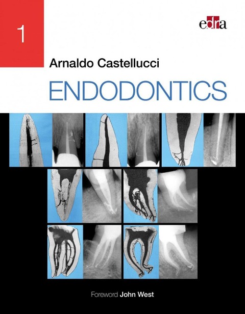 Endodontics 2 Volume Set